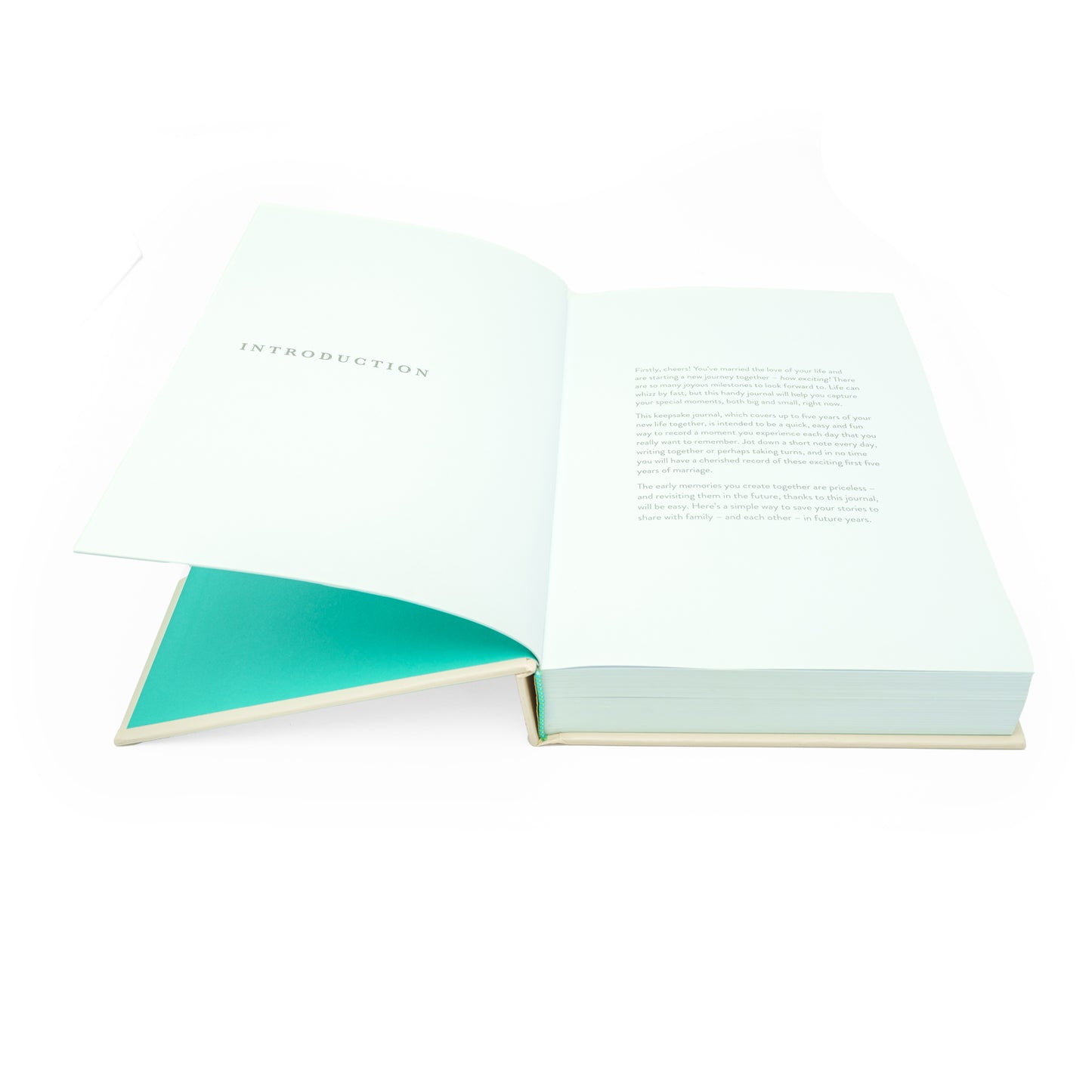 Newlyweds One Line A Day: A Five-Year Memory Journal